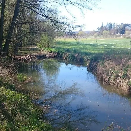 Grosse Auf Dem Pferdehof Naehe Bamberg, Coburg, Schweinfurt Burgpreppach