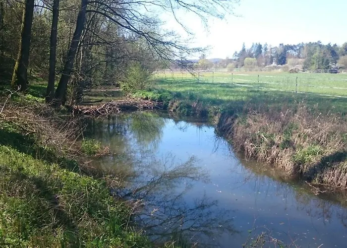 Grosse Auf Dem Pferdehof Naehe Bamberg, Coburg, Schweinfurt Burgpreppach
