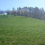 Grosse Auf Dem Pferdehof Naehe Bamberg, Coburg, Schweinfurt Apartman