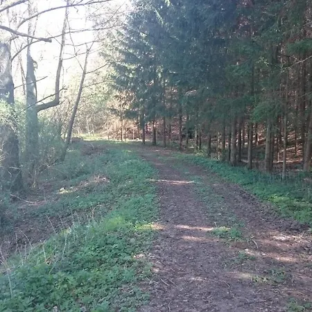 Appartamento Grosse Auf Dem Pferdehof Naehe Bamberg, Coburg, Schweinfurt